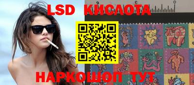гидропоника Владивосток