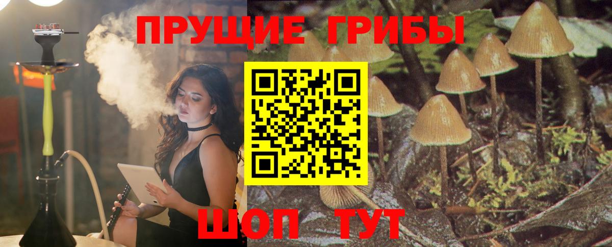 хочу наркоту  Псилоцибиновые грибы Magic Shrooms  Галлюциногенные грибы прущие грибы  Вход с VPN  Большой Камень 
