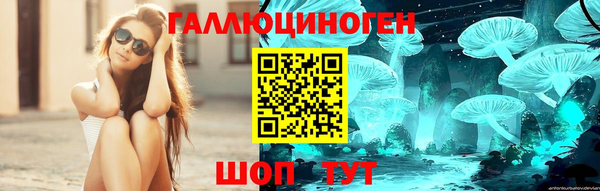 Псилоцибиновые грибы MAGIC MUSHROOMS Большой Камень
